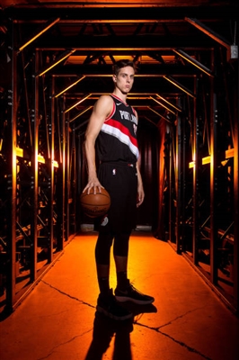 Zach Collins poster