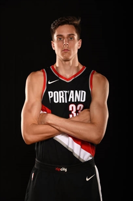 Zach Collins poster