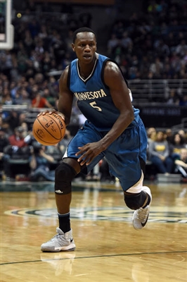 Gorgui Dieng poster