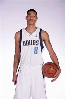 Gerald Green poster