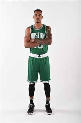 Gerald Green poster