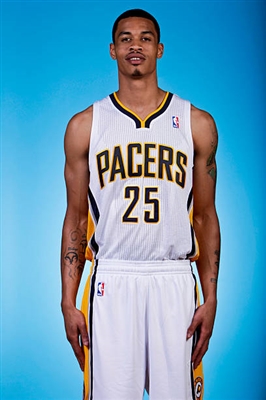 Gerald Green poster
