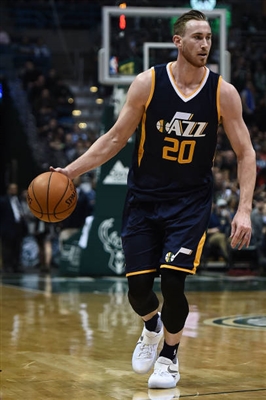 Gordon Hayward sweatshirt