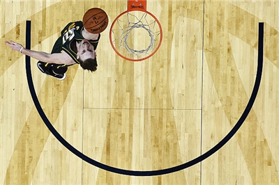 Gordon Hayward sweatshirt