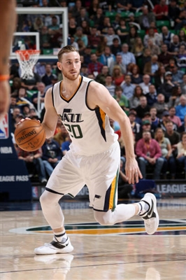 Gordon Hayward sweatshirt