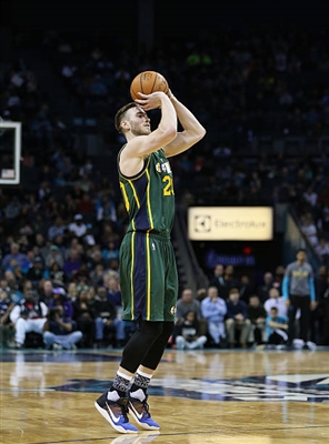 Gordon Hayward sweatshirt