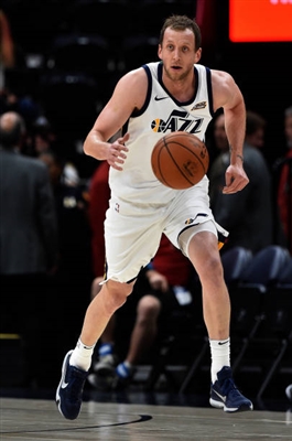 Joe Ingles poster