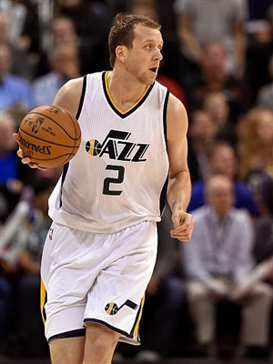 Joe Ingles poster
