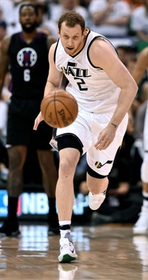 Joe Ingles poster
