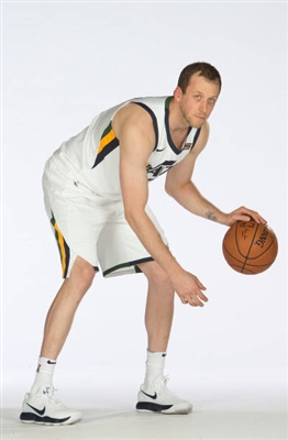 Joe Ingles poster