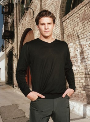 David Boreanaz poster
