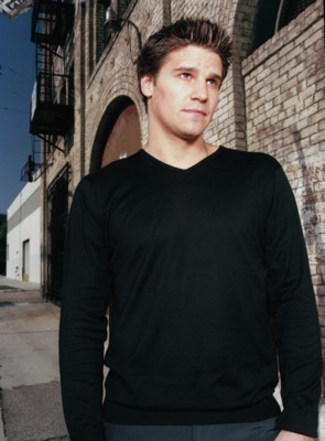 David Boreanaz poster