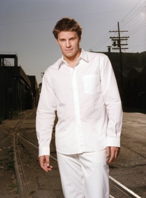 David Boreanaz poster