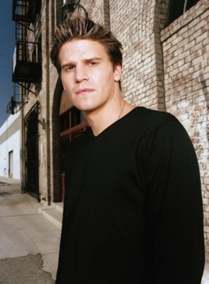 David Boreanaz poster