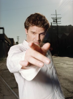 David Boreanaz poster