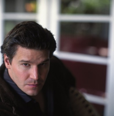 David Boreanaz poster