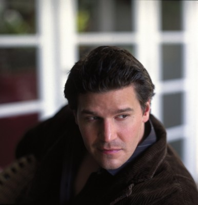 David Boreanaz poster