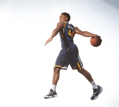 Donovan Mitchell poster