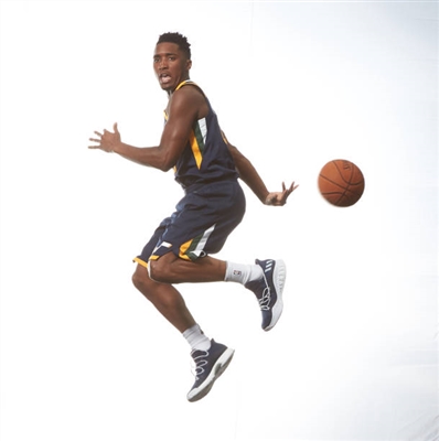 Donovan Mitchell poster