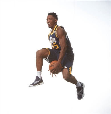 Donovan Mitchell poster