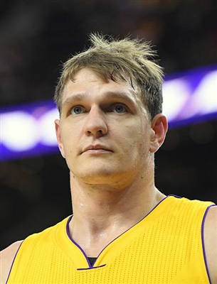 Timofey Mozgov poster
