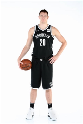 Timofey Mozgov poster