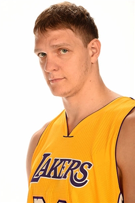 Timofey Mozgov poster