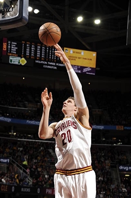 Timofey Mozgov poster
