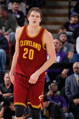 Timofey Mozgov poster