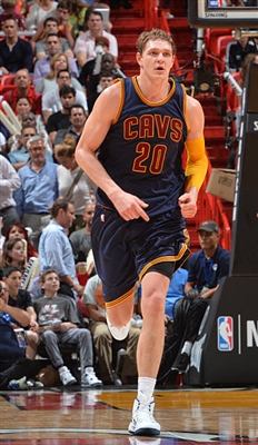 Timofey Mozgov poster