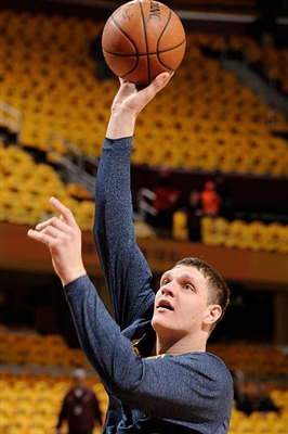 Timofey Mozgov poster