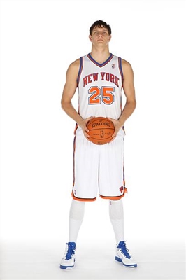 Timofey Mozgov poster