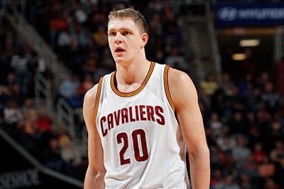 Timofey Mozgov poster