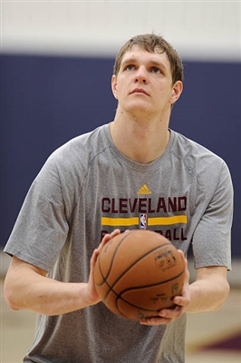 Timofey Mozgov poster