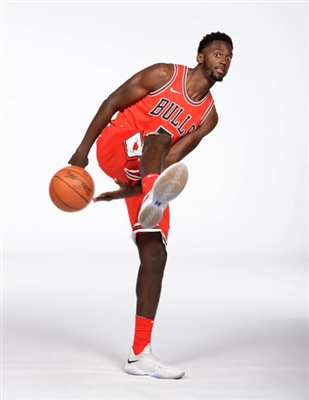 Bobby Portis poster