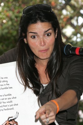 Angie Harmon poster