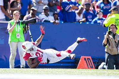 Patrick Peterson poster