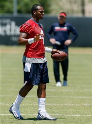 Deshaun Watson poster