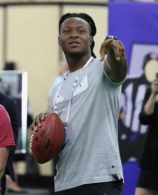 Deandre Hopkins poster