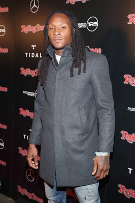 Deandre Hopkins poster