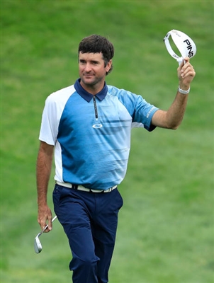 Bubba Watson poster
