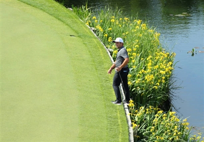 Francesco Molinari poster
