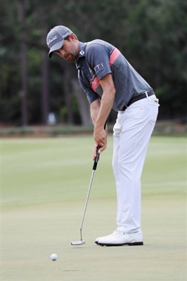 Webb Simpson poster