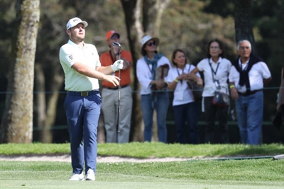 Tyrrell Hatton poster