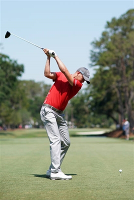 Daniel Berger poster