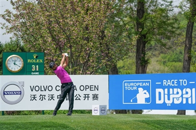 Alexander Levy poster