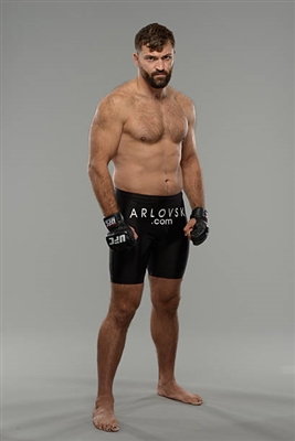 Andrei Arlovski poster