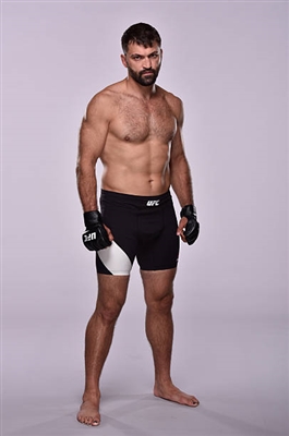 Andrei Arlovski poster