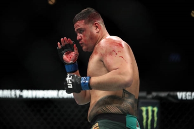 Andrei Arlovski poster