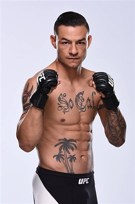 Cub Swanson poster